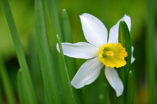 751252 (a): :2500x1660